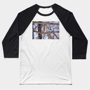 Cooper's Hawk Baseball T-Shirt